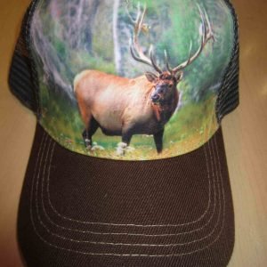 Casquette Cap #33