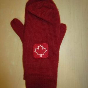 Mitaines d'Hiver Winter Gloves #5